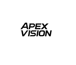 APEX VISION logo