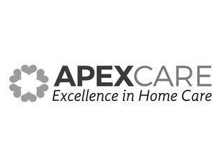 APEXCARE EXCELLENCE IN HOME CARE logo