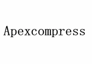 APEXCOMPRESS logo