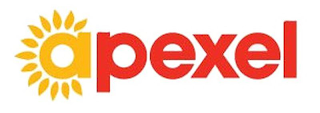 APEXEL logo