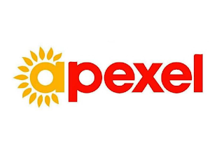APEXEL logo