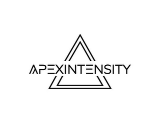 APEXINTENSITY logo