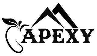 APEXY logo