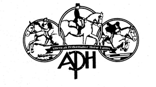APH AMERICAN PERFORMANCE HORSE FARMS logo
