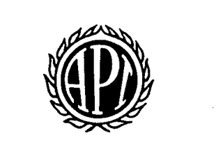 API logo