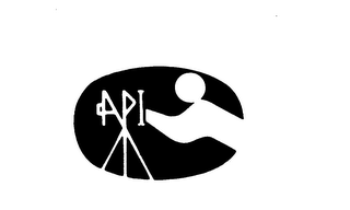 API logo