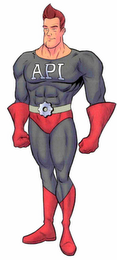 API logo