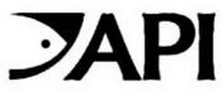 API logo