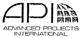 API ADVANCED PROJECT INTERNATIONAL logo