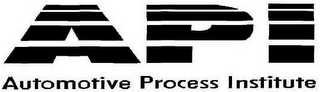 API AUTOMOTIVE PROCESS INSTITUTE logo