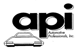 API AUTOMOTIVE PROFESSIONALS, INC. logo