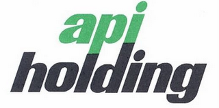 API HOLDING logo
