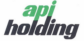 API HOLDING logo