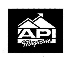 API MAGAZINE logo