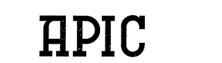 APIC logo