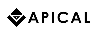 APICAL logo