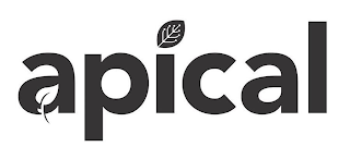APICAL logo