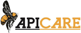 APICARE logo