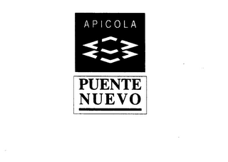 APICOLA PUENTE NUEVO logo