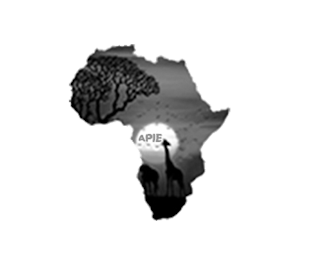 APIE logo