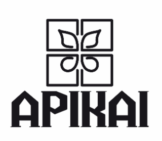 APIKAI logo