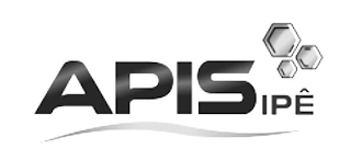 APIS IPE logo