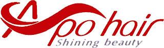 APO HAIR SHINING BEAUTY logo