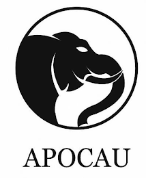 APOCAU logo