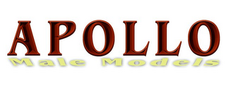 APOLLO MALE MODELS logo