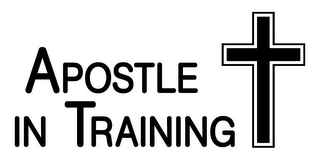 APOSTLE IN TRAINING logo
