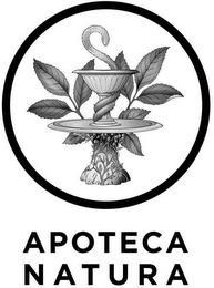 APOTECA NATURA logo