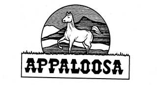 APPALOOSA