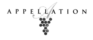 APPELLATION logo
