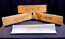 APPLE APPLE APPLE APPLE logo