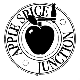 APPLE SPICE JUNCTION logo