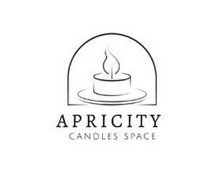 APRICITY CANDLES SPACE logo
