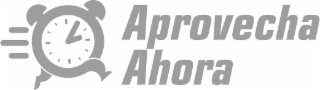 APROVECHA AHORA logo