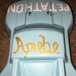 APULU PETATHON logo