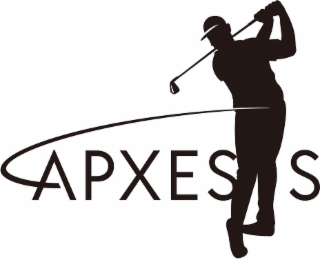 APXESS logo
