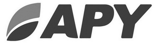 APY logo