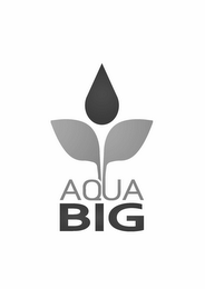 AQUA BIG logo