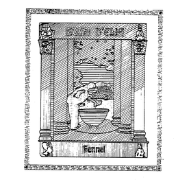 AQUA D'ELIA FENNEL logo
