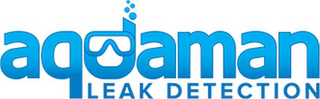 AQUAMAN LEAK DETECTION logo