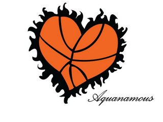 AQUANAMOUS logo