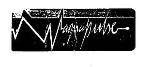 AQUAPULSE logo