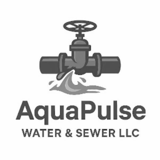 AQUAPULSE WATER & SEWER LLC logo