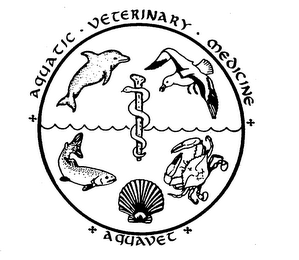 AQUAVET AQUATIC VETERINARY MEDICINE logo