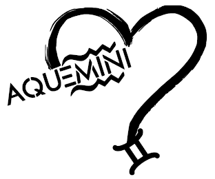 AQUEMINI logo