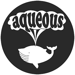 AQUEOUS logo