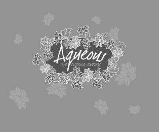 AQUEOUS H2O CLOTHING COMPANY logo